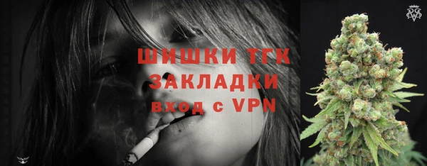 шишки Абаза