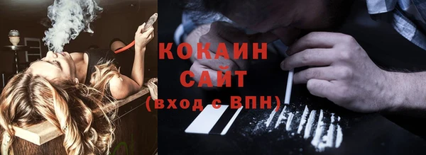шишки Абаза