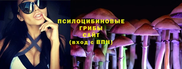 шишки Абаза