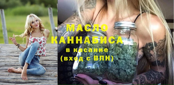 шишки Абаза