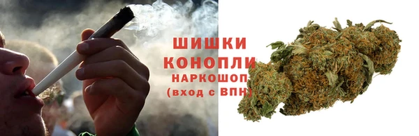 шишки Абаза