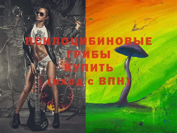 индика Абинск