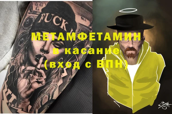 шишки Абаза
