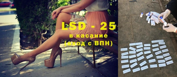 шишки Абаза