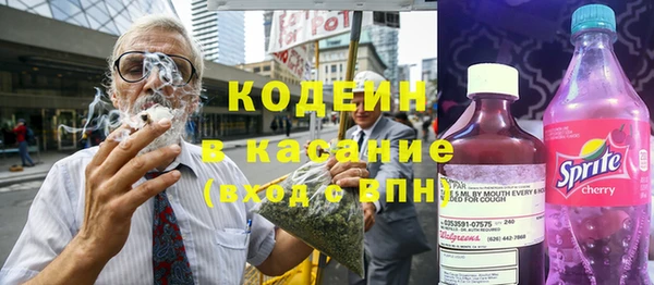 шишки Абаза