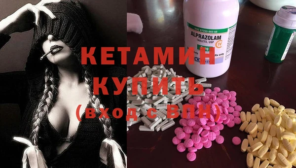 шишки Абаза