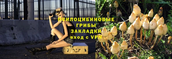 шишки Абдулино