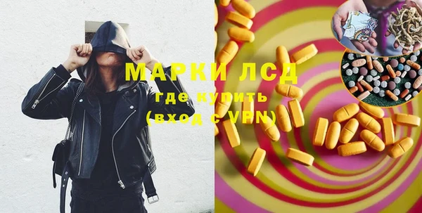 индика Абинск