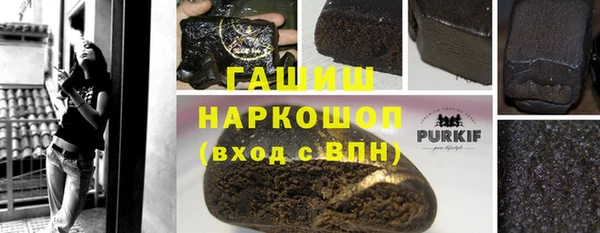 индика Абинск