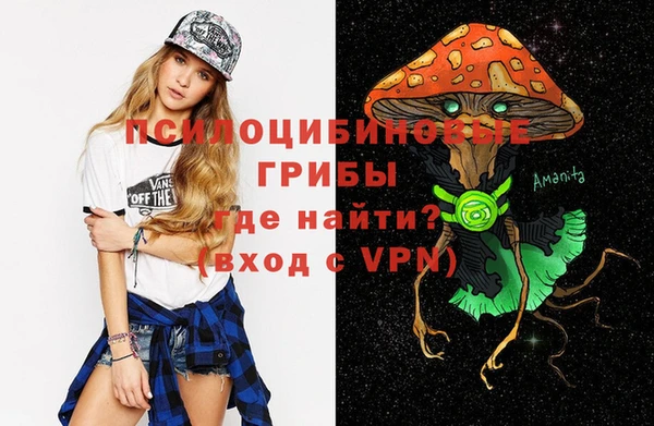 индика Абинск
