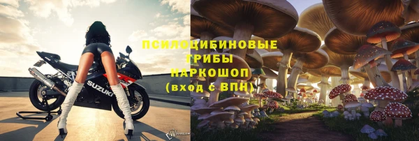 шишки Абдулино