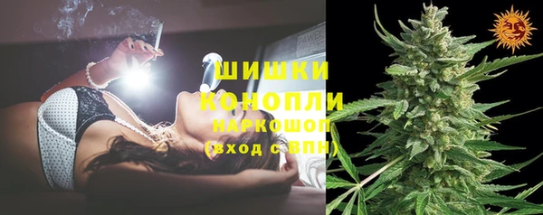 шишки Абаза