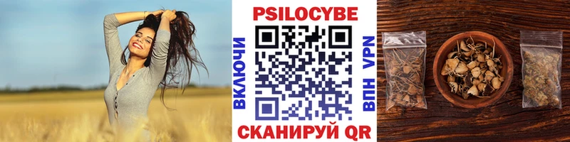 Псилоцибиновые грибы Cubensis Опочка